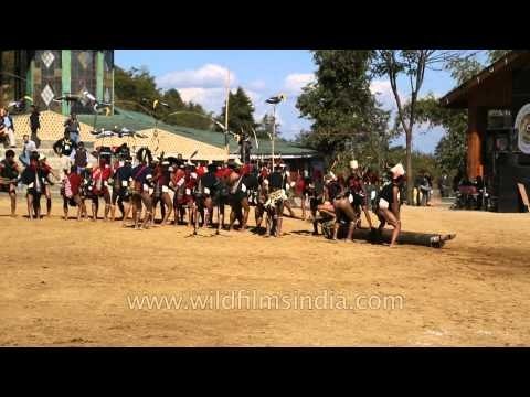 Traditional log pulling by Konyak Naga