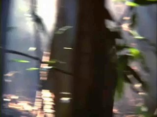 Indiana Jones Kutsal Hazine Avcıları - Fragman