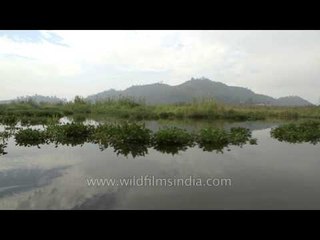 Hills surrounding the Loktak Lake in Manipur