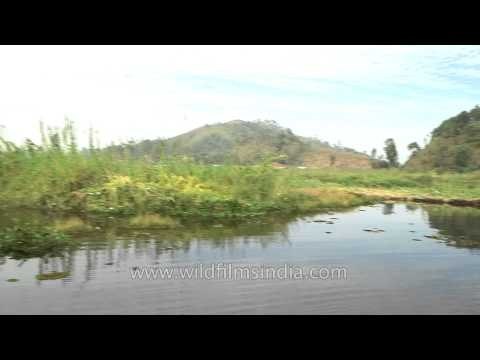 Floating island or phumdis of Loktak Lake in Manipur