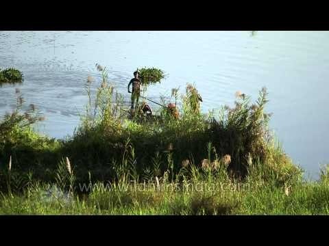 Boat ride in Loktak Lake in Manipur