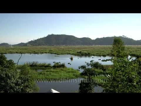 Floating island in Loktak Lake, Manipur