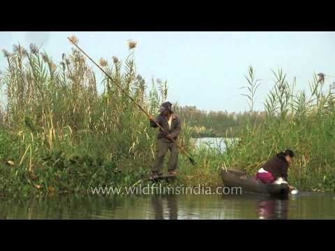 Fishing on the Loktak Lake in Manipur