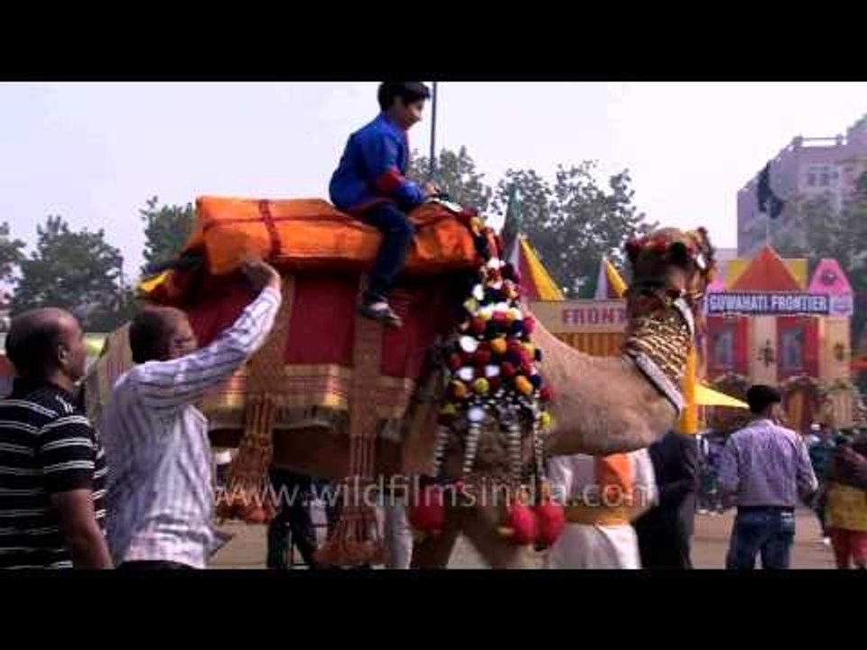 Kids riding on camel