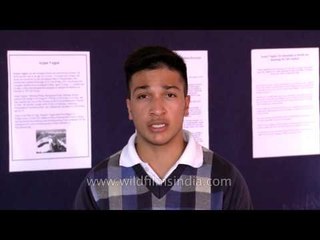 "...my best moment of Everest climbing was..." Arjun Vajpai