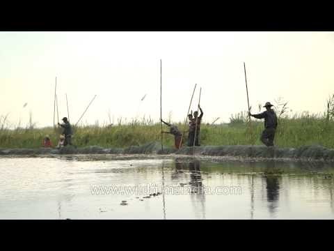 Indigenous people of Loktak Lake, Manipur