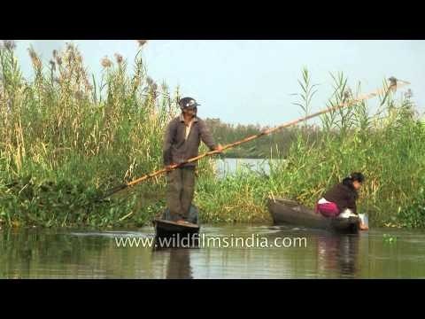 Men paddling through the Loktak Lake in Manipur