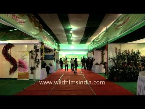 Floral stalls at Sangai festival, Manipur