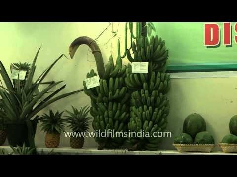 Indigenous fruit stall in Manipur Sangai Festival 2013