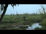 Loktak Lake - Largest fresh water lake in India