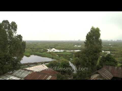 Settlements on the Loktak Lake, Manipur
