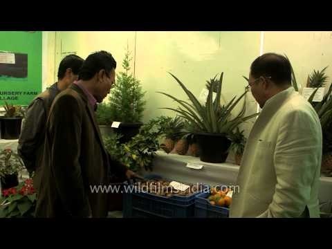 Fresh fruits and vegetables on display at the Sangai Fest 2013