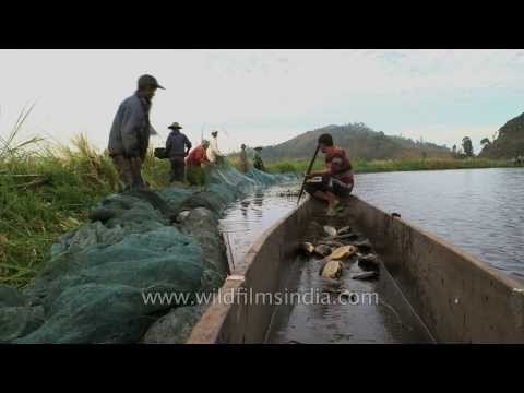 Loktak Lake, a vital fisheries resource in Manipur