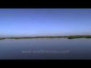 Exploring the beauty of Loktak Lake, Manipur