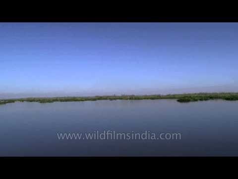 Exploring the beauty of Loktak Lake, Manipur