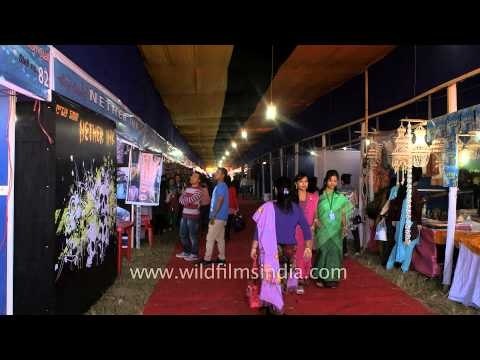 Visitors of Manipur Sangai Festival, 2013