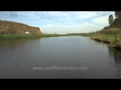 Loktak Lake: The Floating Paradise in Manipur