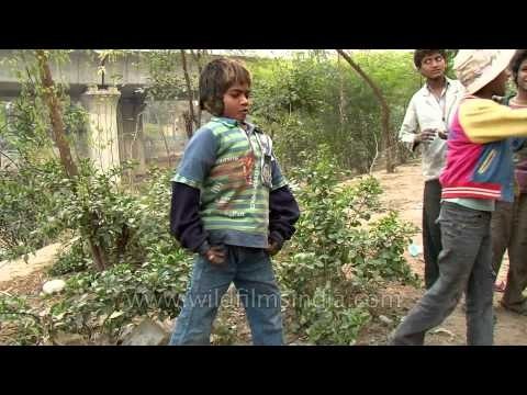 Lost in trash : Delhi rag pickers