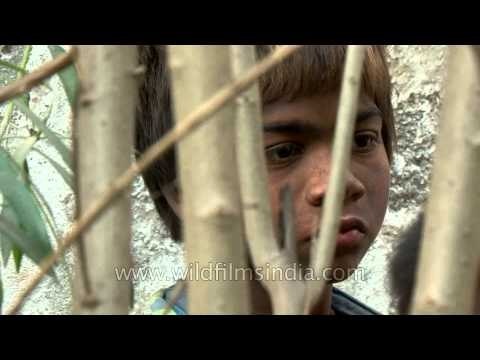 Life in the ruins : Delhi rag pickers