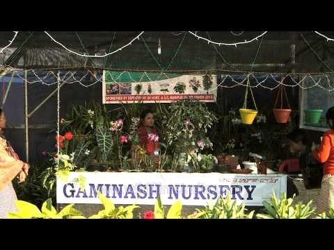 Flora stalls at Manipur Sangai Festival, 2013