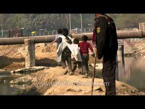 Trash : way of life for Delhi rag pickers