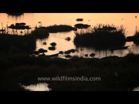 Fishing at night - Loktak Lake,Manipur