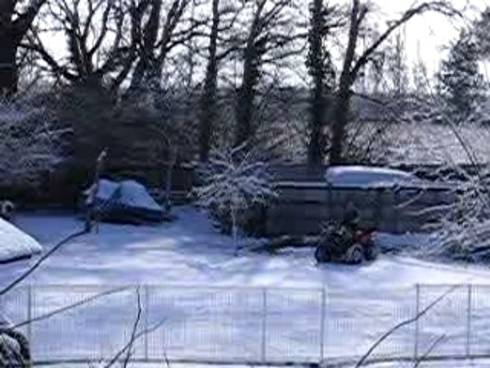 MVI_4409