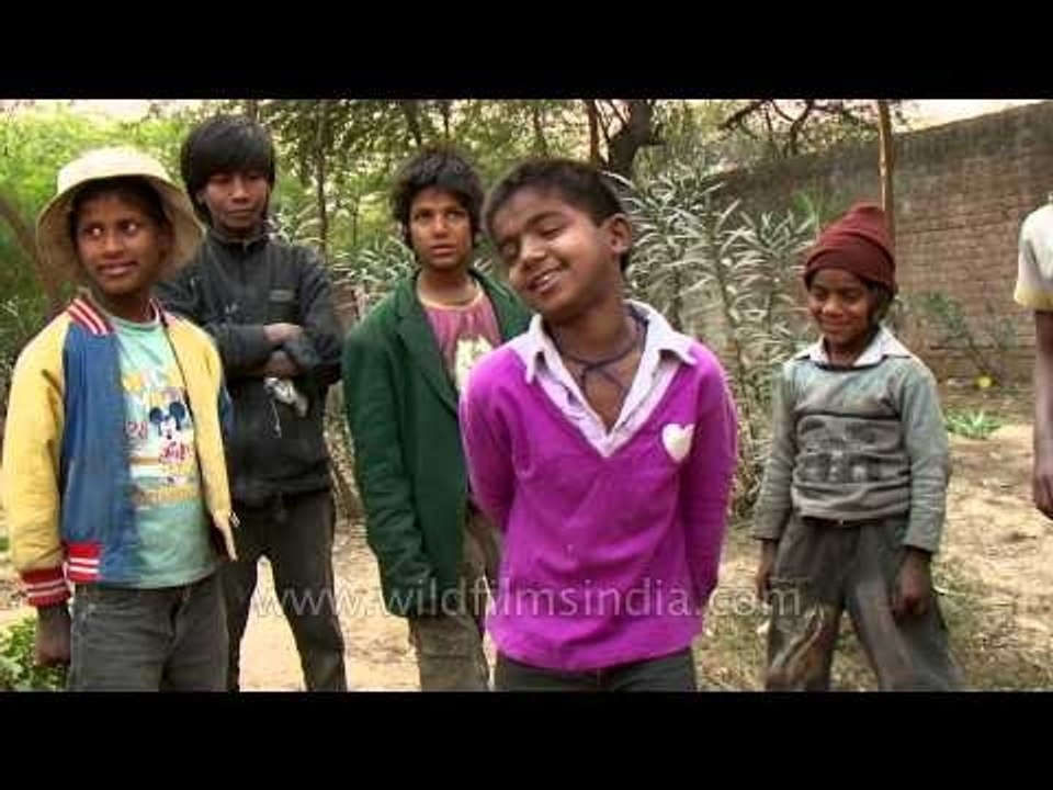 Little ray of sunshine : rag pickers