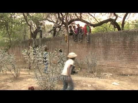 Delhi rag pickers having fun among themselves