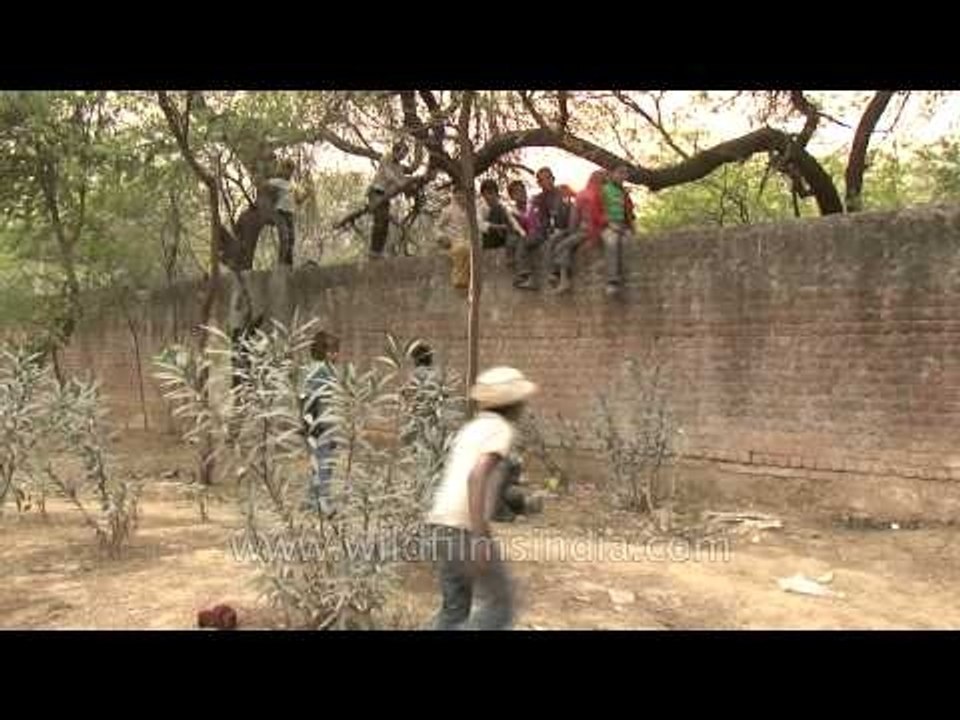 Delhi rag pickers having fun among themselves