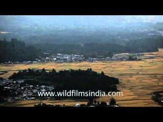 Bird's Eye View of Ziro Valley, Arunachal Pradesh