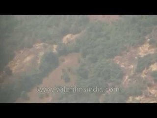 Up in the air: aerials of Goa