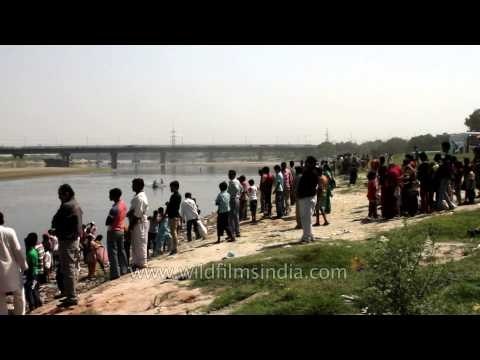 Devotees gathered near the banks of Yamuna for Ganesh Visarjan
