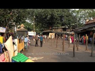 Goddess Kali temple: Kalighat kolkata