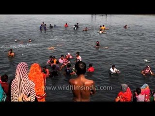 Immersion of Lord Ganesha
