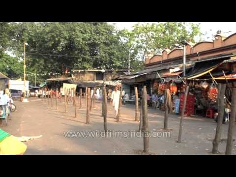 Kalighat temple stalls: Kolkata