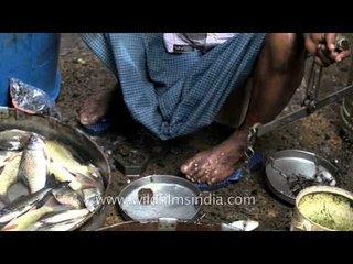 Hilsa or chingri-maach: Kolkata fish market at its best!