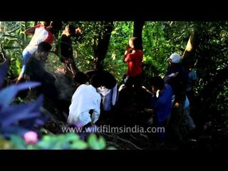 Mizo boys working hard for planting vegetation