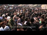 Shia Muslims gather for Taziya possession : Muharram