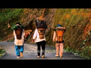 Mizo villagers returning from their work
