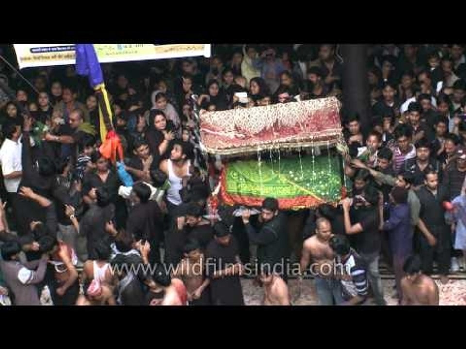 Taboot and Holy horse entering the Panja Sharif - Muharram in Delhi