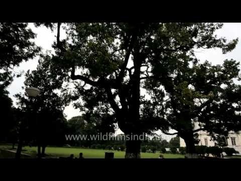 Kolkata: Sweet Destination for the Sweet-toothed, Fun for Adventurers