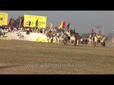 The Undisputed Rural Olympics: Bullock Cart Race in Kila Raipur Sports,