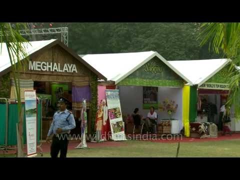 People at the North East Fest