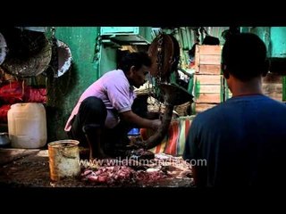 Kolkata: A Busy Fish Market in the City