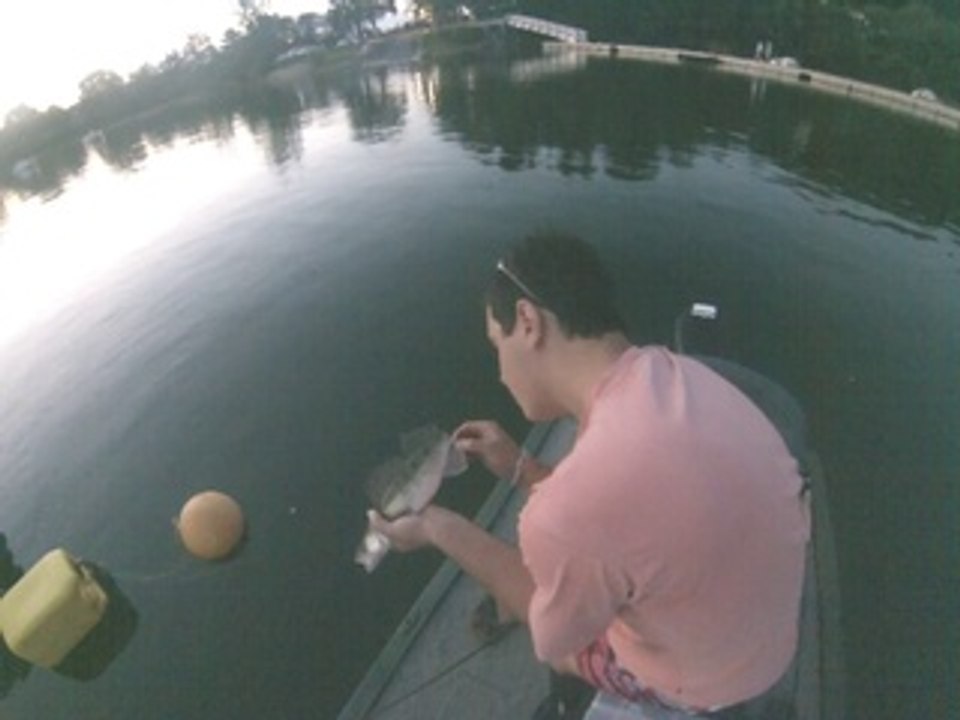 Sandre jigging rap