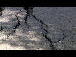 Cracked tar and roads torn asunder