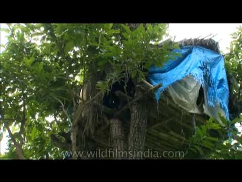 Man climbing up to his tree house
