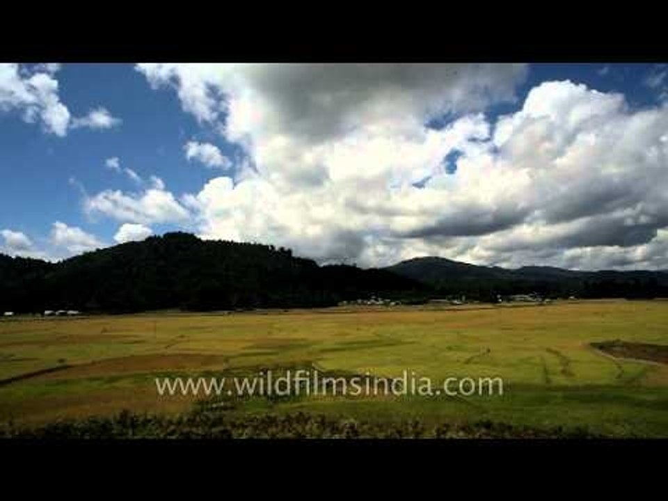 Rice plains of Ziro in Arunachal Pradesh