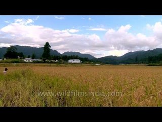 Progressive women of the progressive Apatani society